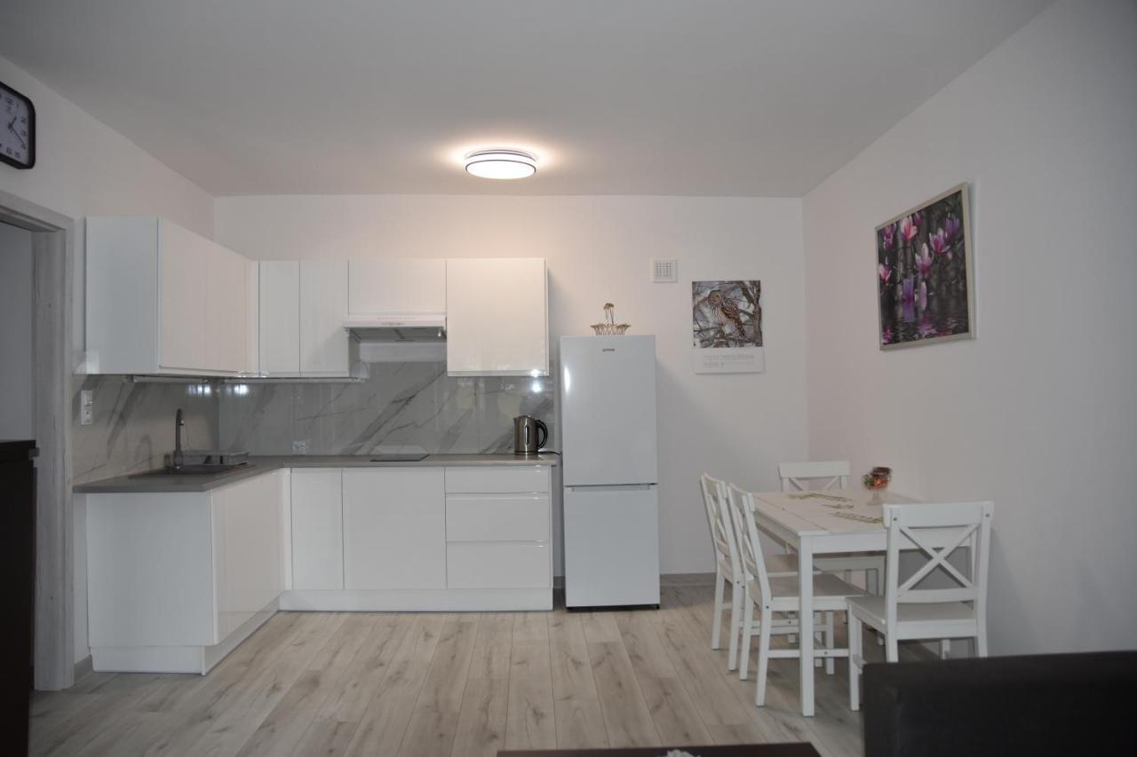 Apartament Nad Fontanna 热舒夫 外观 照片