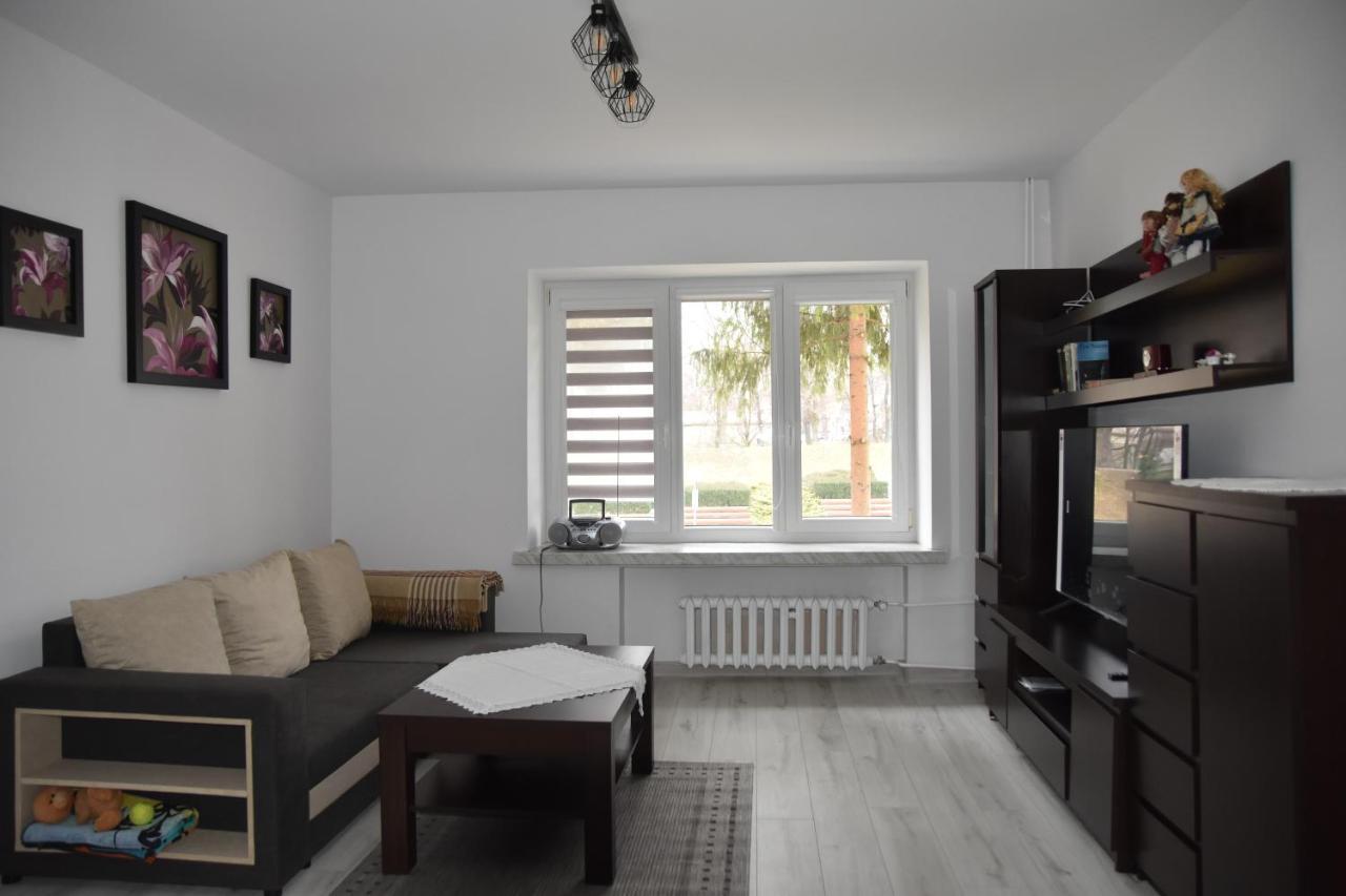Apartament Nad Fontanna 热舒夫 外观 照片