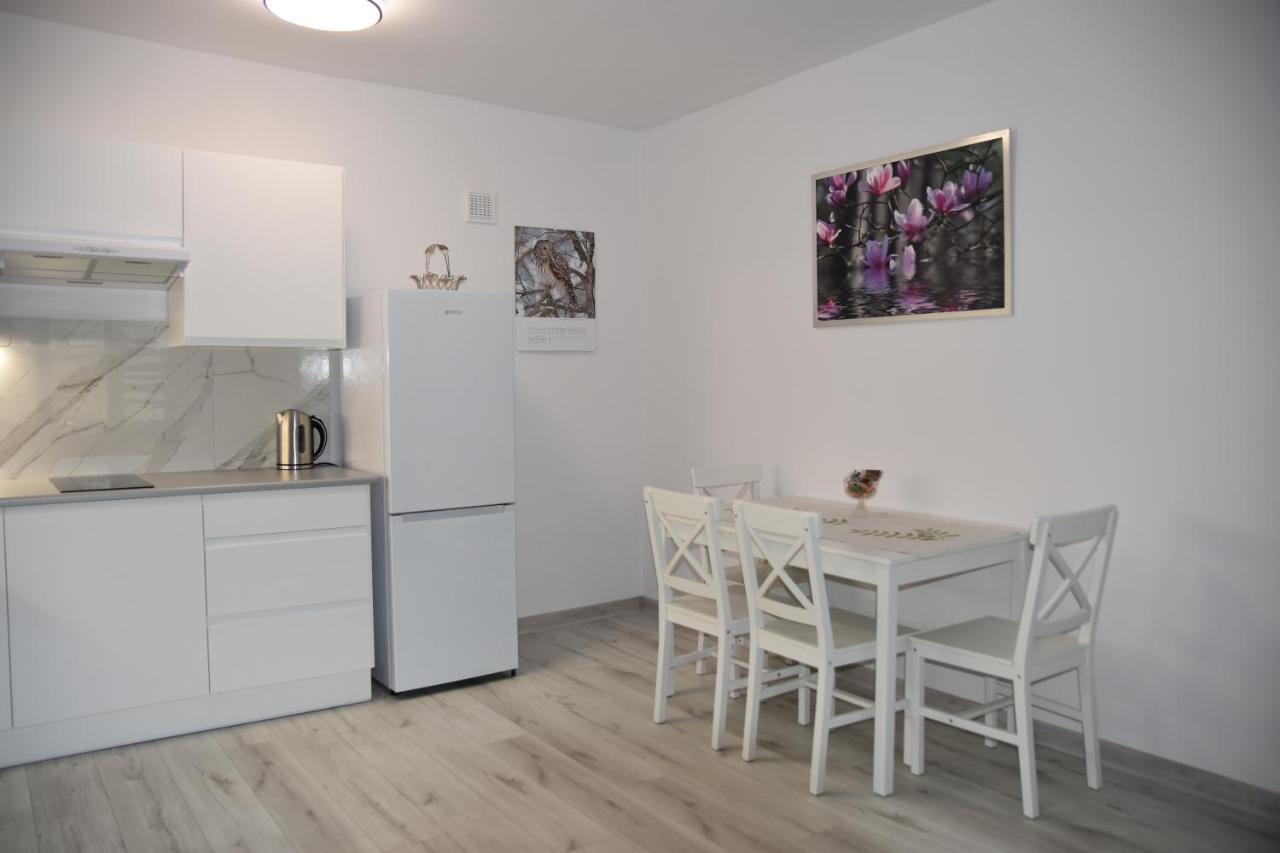 Apartament Nad Fontanna 热舒夫 外观 照片