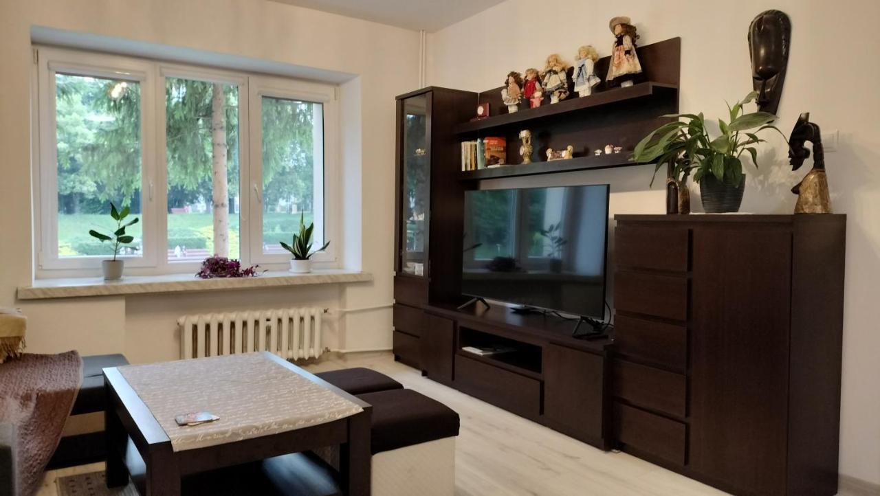 Apartament Nad Fontanna 热舒夫 外观 照片