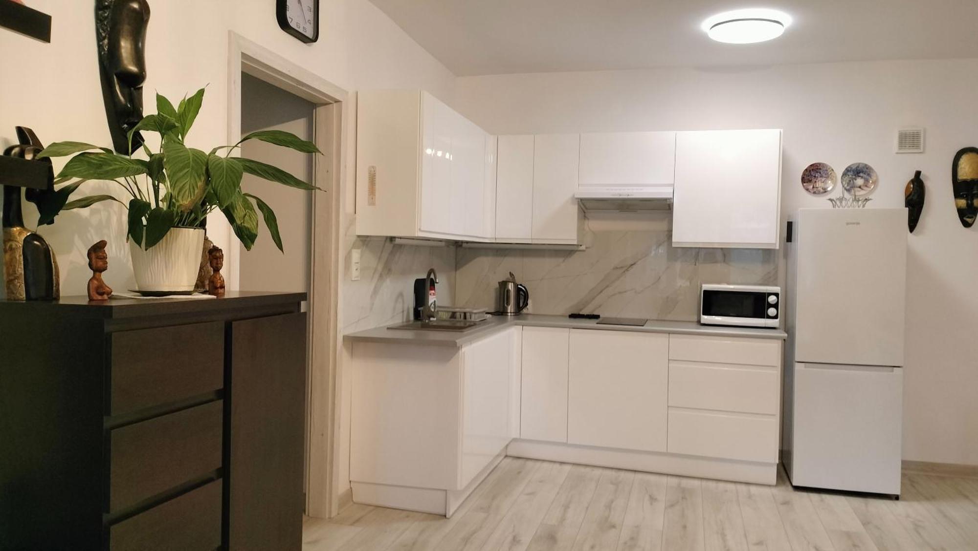 Apartament Nad Fontanna 热舒夫 外观 照片